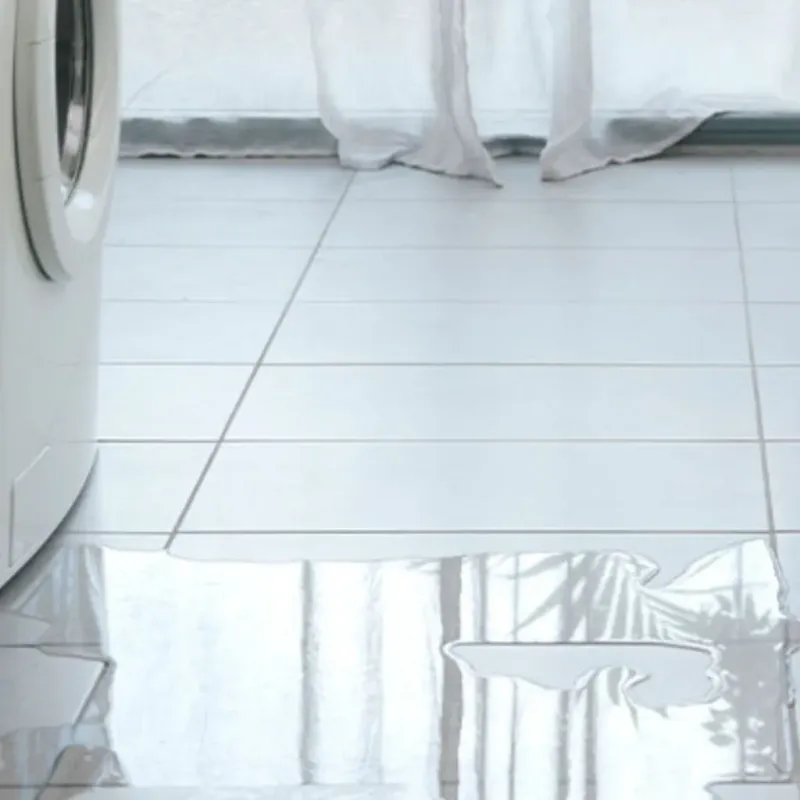 Appliance Leak Cleanup in Vardaman, MS