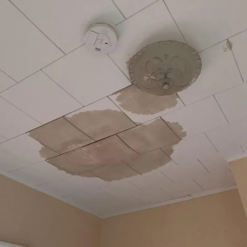 Ceiling Water Damage Repair in Vardaman, MS