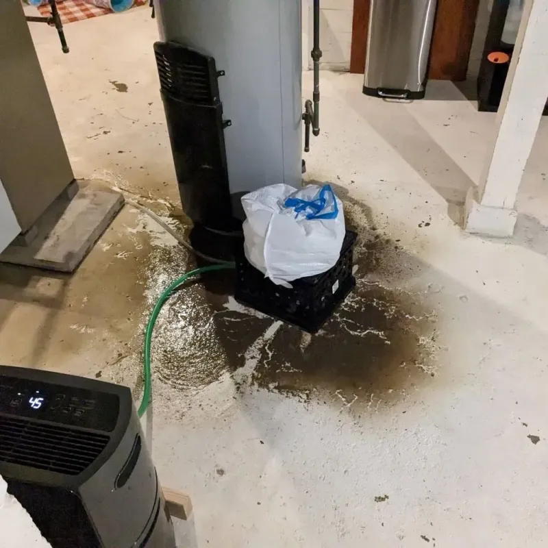 Sewage Backup Cleanup Service in Vardaman, MS